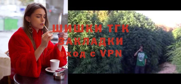 кокс Елизово