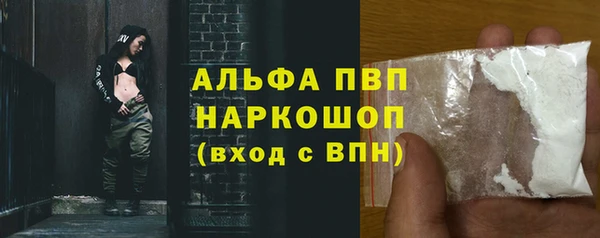 кокс Елизово