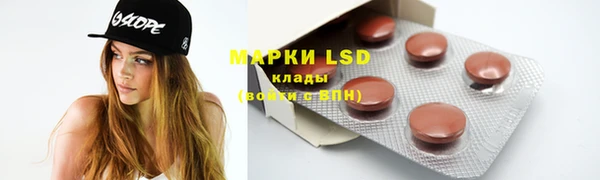 шишки Елабуга
