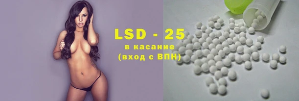 шишки Елабуга