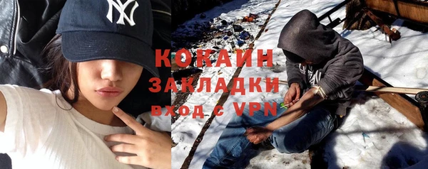 шишки Елабуга