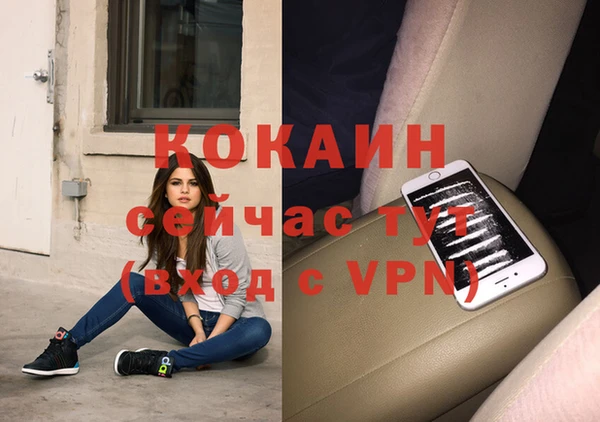 шишки Елабуга