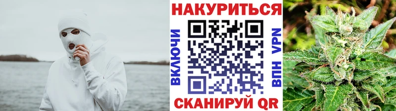 где купить наркотик Приозерск Конопля сатива